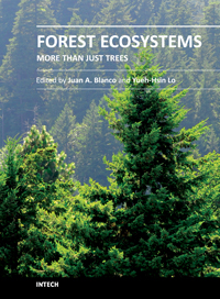 A ecosystem of a forest