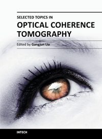 Selected Topics in Optical Coherence Tomography