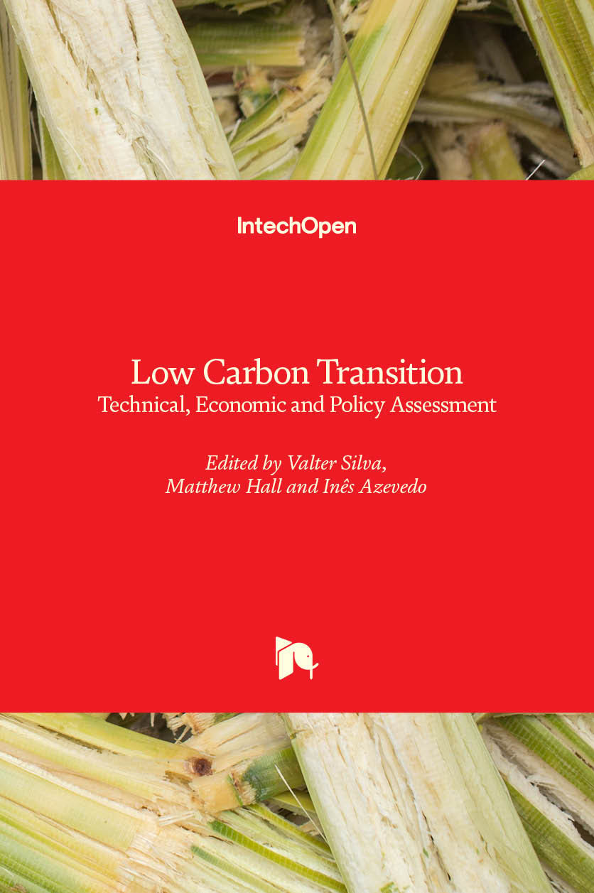 Low Carbon Transition - Technical, Economic and Policy Assessment