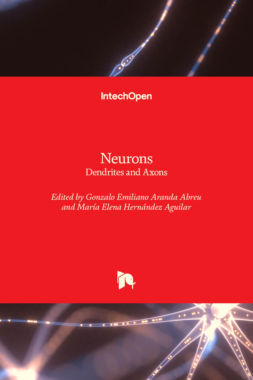 Neurons - Dendrites and Axons
