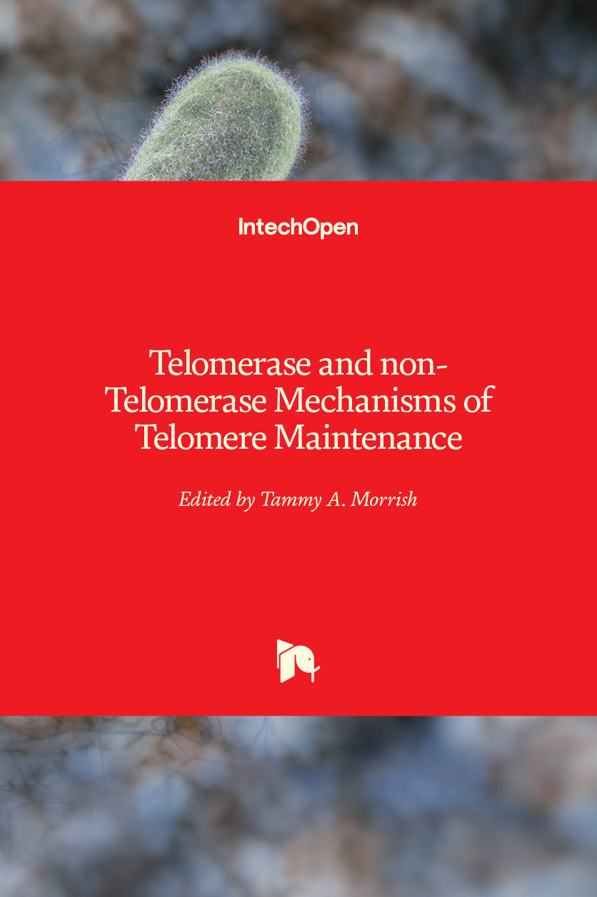 Telomerase and non-Telomerase Mechanisms of Telomere Maintenance