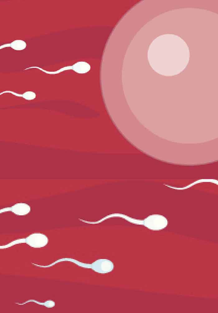 Artificial Insemination: Current and Future Trends | IntechOpen
