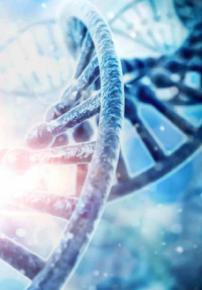 Dna Damage Dna Repair And Cancer Intechopen