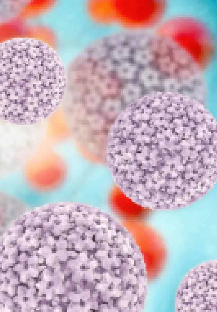 HPV fertőzés Papilloma vírus in vitro