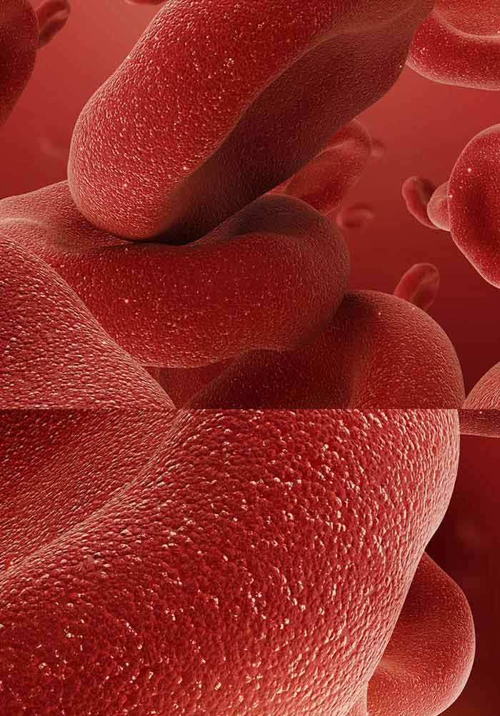 Effects of Therapeutic and Toxic Agents on Erythrocytes of Different Species  of Animals | IntechOpen