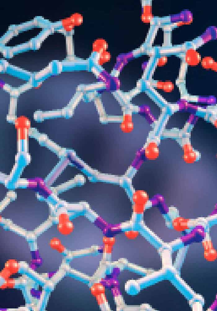 Protein Engineering Intechopen