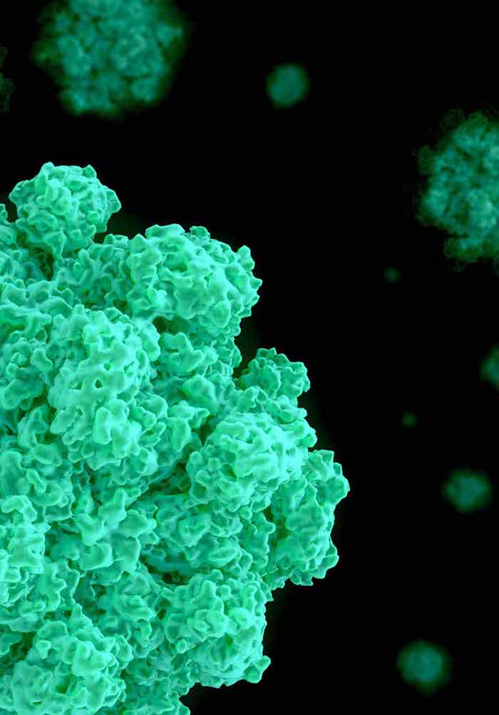 Norovirus Genotypic Variability In Brazil Intechopen